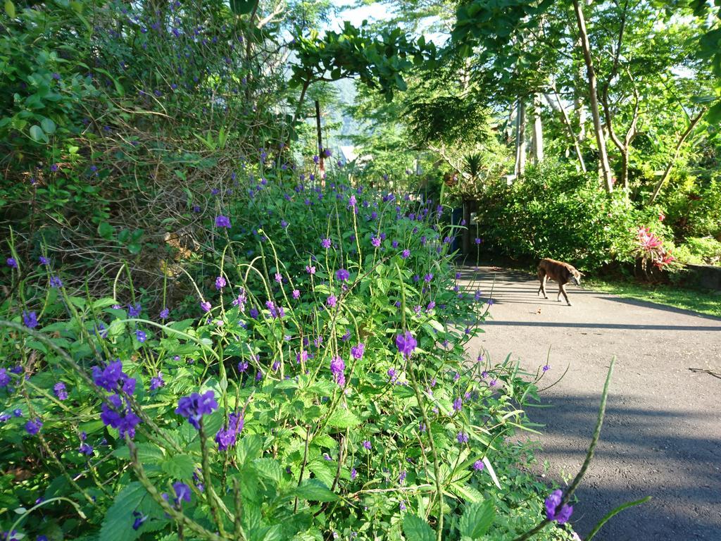 Flower And Green Collection Lägenhet Shunan Exteriör bild